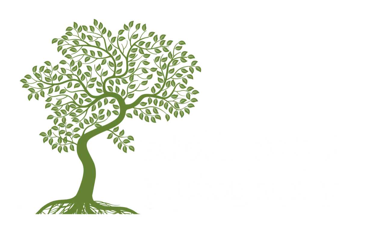 Scott Peek Photography Logo